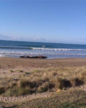 IMAG0008