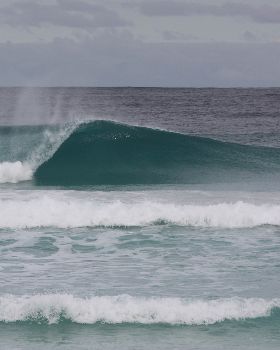 Surfing