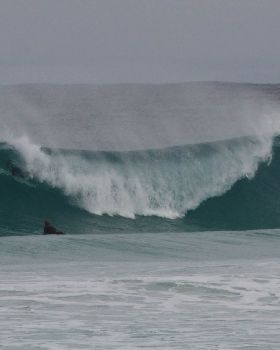 Surfing