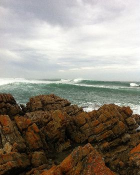 Surfing