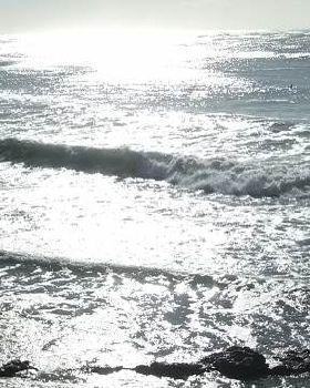 033 (640x360)