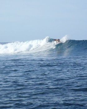 P1031482