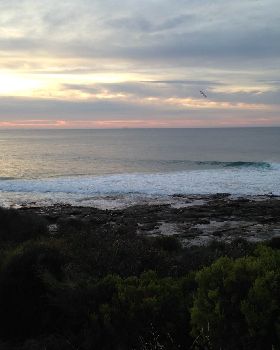 photo(1)