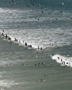 Surfing