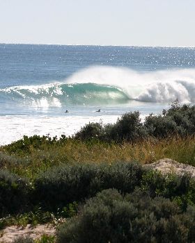 Surfing