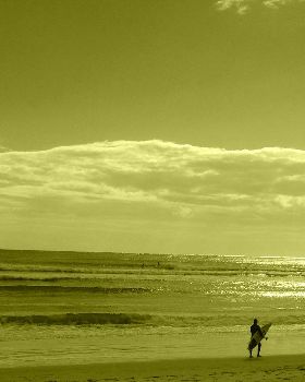 Surfing