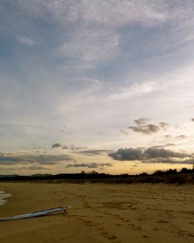 photo 2 (5)