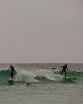 photo 2 (6)