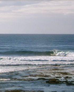 Surfing