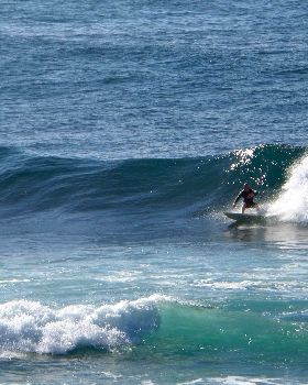 Surfing