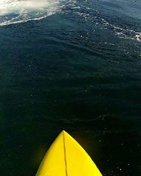 Surfing