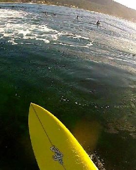 Surfing