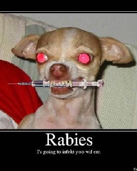 rabies