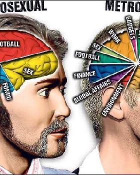 metrosexual retrosexual