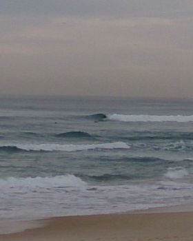 Surfing