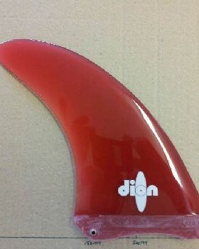 dion fin