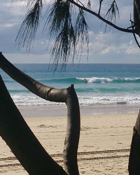 Surfing