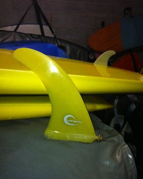 Surfing