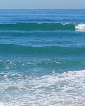 Surfing