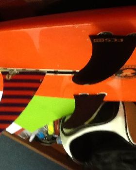 Fins