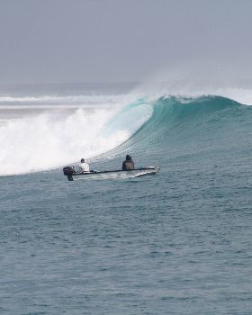 More Mentawai