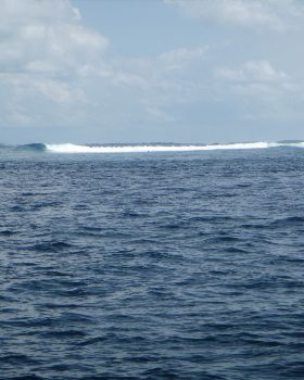 P1010341