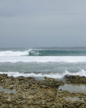 P1010368