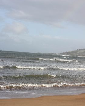 Surfing