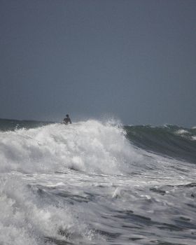 Surfing