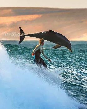 Surfing