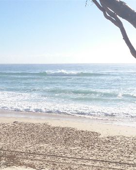 Surfing