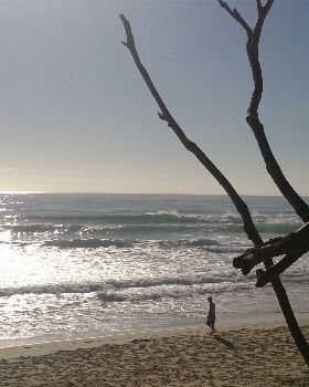 Surfing