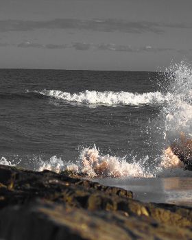 Surfing
