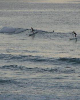 Surfing