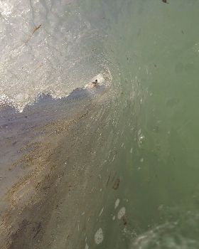 The Spot