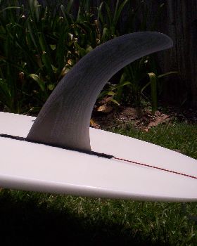 Tolly tail