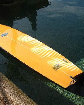 Surfing