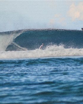 Surfing