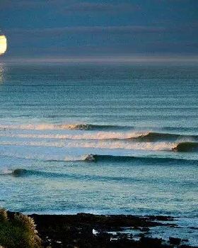 Surfing