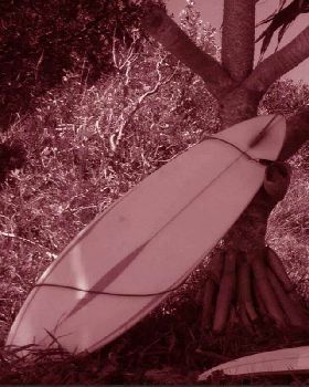 Surfing