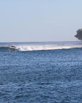 Indo