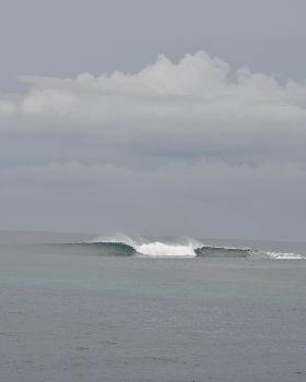 Surfing