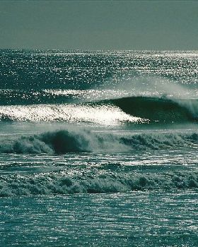 Surfing