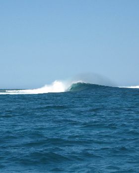 Surfing