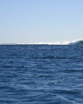DSC00762