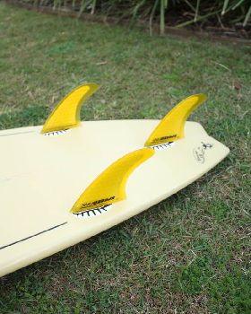 Munro tail