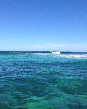 Surfing