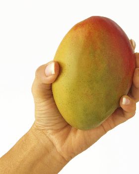 mango in the hand