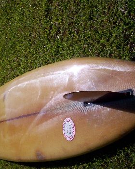 Surfing