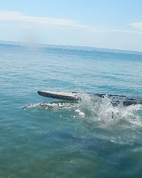 Surfing